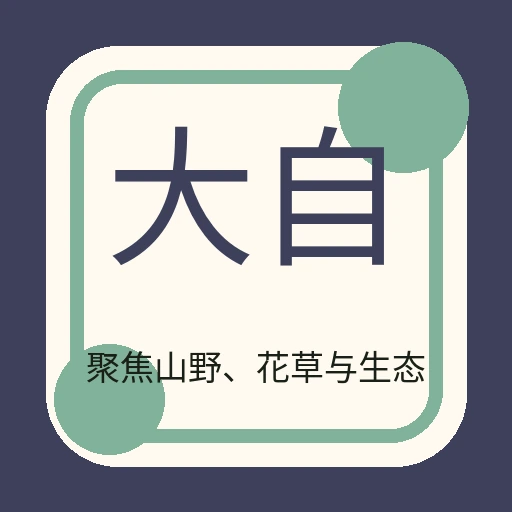 大自然影像